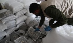Türkiye ve Suriye'den ortak uyuşturucu operasyonu
