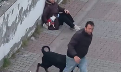Ümraniye’de ağızlıksız gezdirilen rottweiler, küçük ırk köpeğe saldırdı