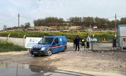 Yalova’da hayvan ölümleri iddialarına soruşturma