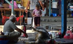 '12 yaşından küçüklere kurban kesimini göstermeyin'