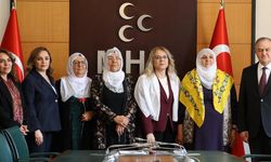 'Barış Anneleri'nden MHP'ye ziyaret