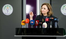 DEM Parti'li Doğan: 'Mutlak butlan' kararı hepimizi ilgilendiriyor