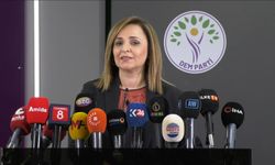 DEM Parti'li Doğan: Süreç ile ilgili yeni yol haritasına ilişkin çalışmalar var
