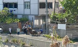 Esenyurt'ta kaçak kurban kesenlere ceza