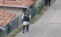 Sarıyer’de evini boyarken bahçede kalaşnikof ve el bombaları buldu