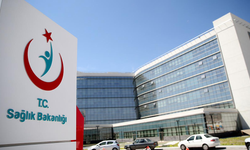 Sağlık Bakanlığı: Türkiye'de hantavirüs pozitif vaka tespit edilmedi