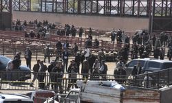 Van'da hayvan pazarında kavga; 1 ölü, 13 yaralı