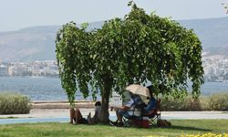 'Yazın ekstrem sıcaklıklar yaşanması mümkün'