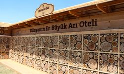 Adana'da hayata geçirilen 'arı oteli' dünyanın en büyüğü; Guinness tescil etti