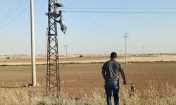Akıma kapıldığı direkte asılı kaldı