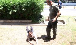Anne-babasının yağmur suyu giderine düştüğünü ihbar etti, gerçek telefonda ortaya çıktı