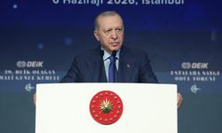 Belirli şartları sağlayan yabancılar ve yurt dışındaki vatandaşlar, gelirleri için 20 yıl vergi ödemeyecek