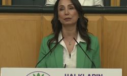 DEM Parti'li Hatimoğulları: Çerçeve yasa AKP ile görüşülmüştür