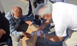 Galata Köprüsü’nde 'Bul karayı al parayı' yöntemiyle kumar oynattı; 'Money' diyerek euro istedi