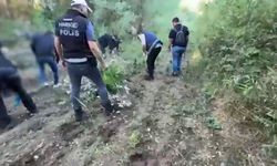 Hevsel Bahçeleri’nde 12 bin 174 kök kenevir ele geçirildi