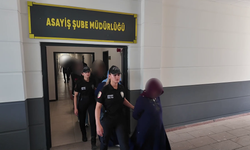Kocaeli merkezli 4 ilde fuhuş operasyonu: 14 tutuklama
