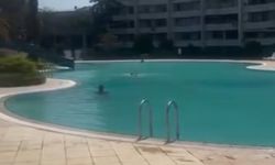 Mersin’de bir kadının haşema ile havuza alınmadığı iddiasına tutuklama