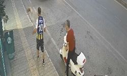 Samsun'da kediye şiddet kamerada
