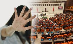 TBMM’deki taciz davasında sanıklara verilen hükmün gerekçesi açıklandı