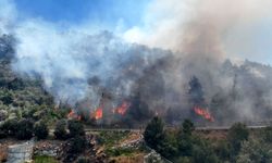Alanya'daki orman yangını 2'nci gününde çalışmalar sürüyor