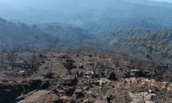 Muğla'da Fethiye yangını kontrol altında... Balıkesir ve Aydın'da mücadele sürüyor