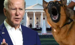 Biden Köpeği 'Commander'ı' Beyaz Saray'dan Gönderdi