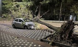 Bursa'da Rüzgarın Hızı 100 Km'ye Ulaştı