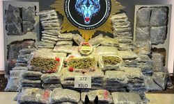 Malatya’da 372 Kilo Skunk Ele Geçirildi