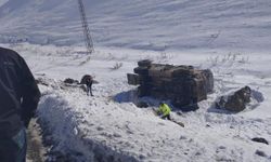 Van'da Askeri Araç Devrildi