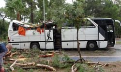 Antalya'daki Hortum Asırlık Çam Ağaçlarını Yerinden Söktü