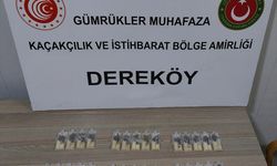 Türkiye'ye Kaçak Yollarla Kraliçe Arı Getiren Sanığa 5 Yıla Kadar Hapis