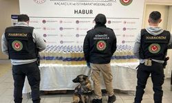 Gümrük Kapısı'nda 345 kilo Sıvı Metamfetamin Ele Geçirildi