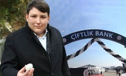 Çiftlik Bank Davası: Kara Kutu Tahliye Edildi!