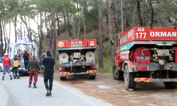 Antalya'da Isınmak İçin Ormanı Yaktı!