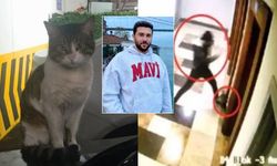 Kedi Eros İçin Adalet Aranıyor! Katili Keloğlan Bugün Yeniden Hakim Karşısında