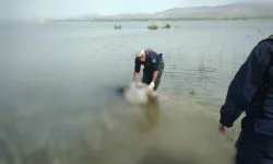 Malatya'da Kayıp Olarak Aranan Şahsın Cansız Bedeni Baraj Gölünde Bulundu!