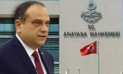 Resmi Gazete'de Yayımlandı: Anayasa Başkanvekili Belli Oldu