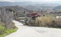 Hatay'da 2 Mahalleye Kuduz Karantinası