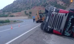 Siirt'te Devrilen TIR’ın Dorsesindeki 100 Koyun Telef Oldu!