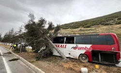 Isparta'da Yolcu Otobüsü Ağaca Çarptı: Yolcular Ölümden Döndü 11 Yaralı