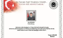 Yıldırım Düşmesi Sonucu Yaralanan Astsubay Şehit Oldu