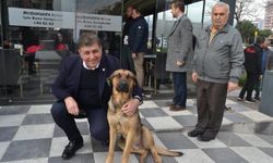 Cemil Tugay: Sokak Hayvanlarını Uyutmak Bir Seçenek Değil!