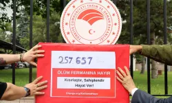 Ankara'da Hayvanseverler Sokak Köpekleri İçin 257 Bin İmzayı Bakanlığa İletti