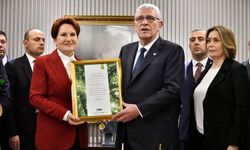 Müsavat Dervişoğlu, Akşener'den Görevi Devraldı