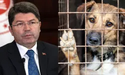 Adalet Bakanı Tunç: Sokak Köpeklerinin Uyutulması Hakkında Açıklama Yaptı!