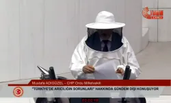 CHP'li Vekil Meclis Kürsüsünde Arıcı Kıyafetiyle Konuştu