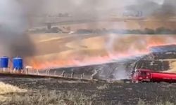 Ankara'da 100 Dönüm Buğday ve Arpa Yandı!