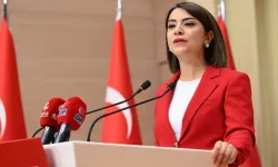 CHP'li Gamze Taşcıer: İktidarın Sosyal Güvenlik Sistemi İflas Etmiştir