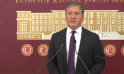 CHP'li Emir: 'Ötanazi' Adı Altında Sokak Hayvanlarını Katledecekler