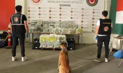 Kapıkule Gümrük Kapısında 244 Kilo Esrar Ele Geçirildi